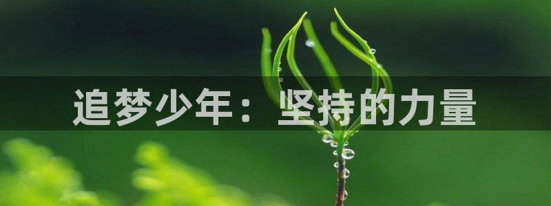 球王会体育