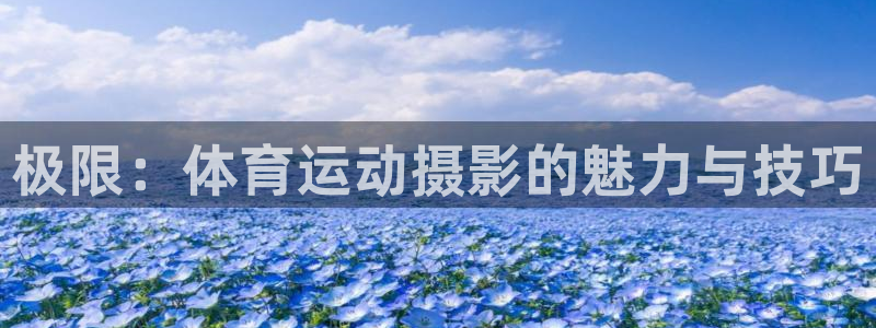 球王会体育
