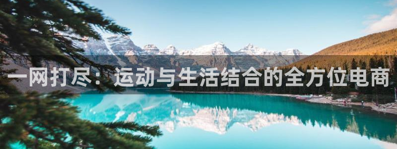 球王会体育