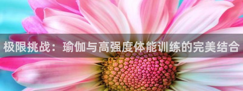球王会体育