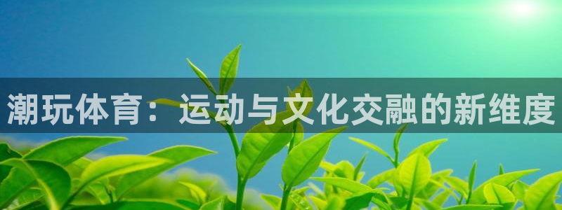 球王会体育