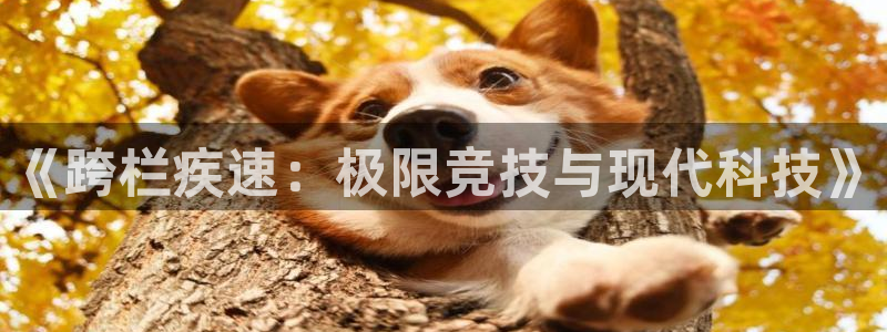 球王会体育