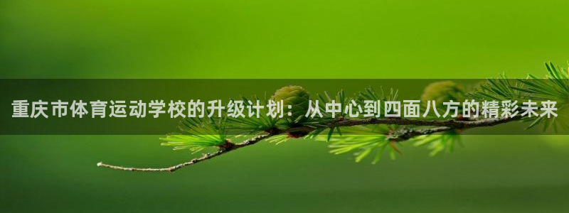 球王会体育