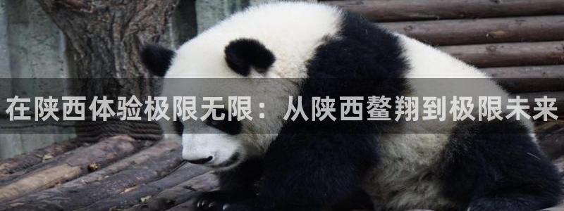 球王会体育